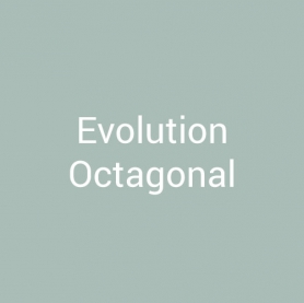 Evolution Octagonal