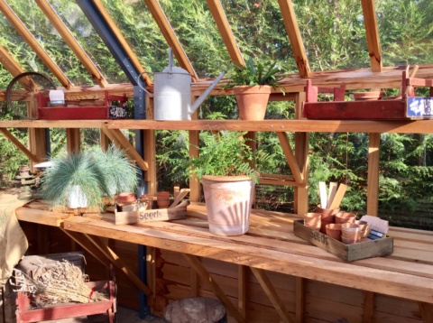 Plant pots inside greenhouse