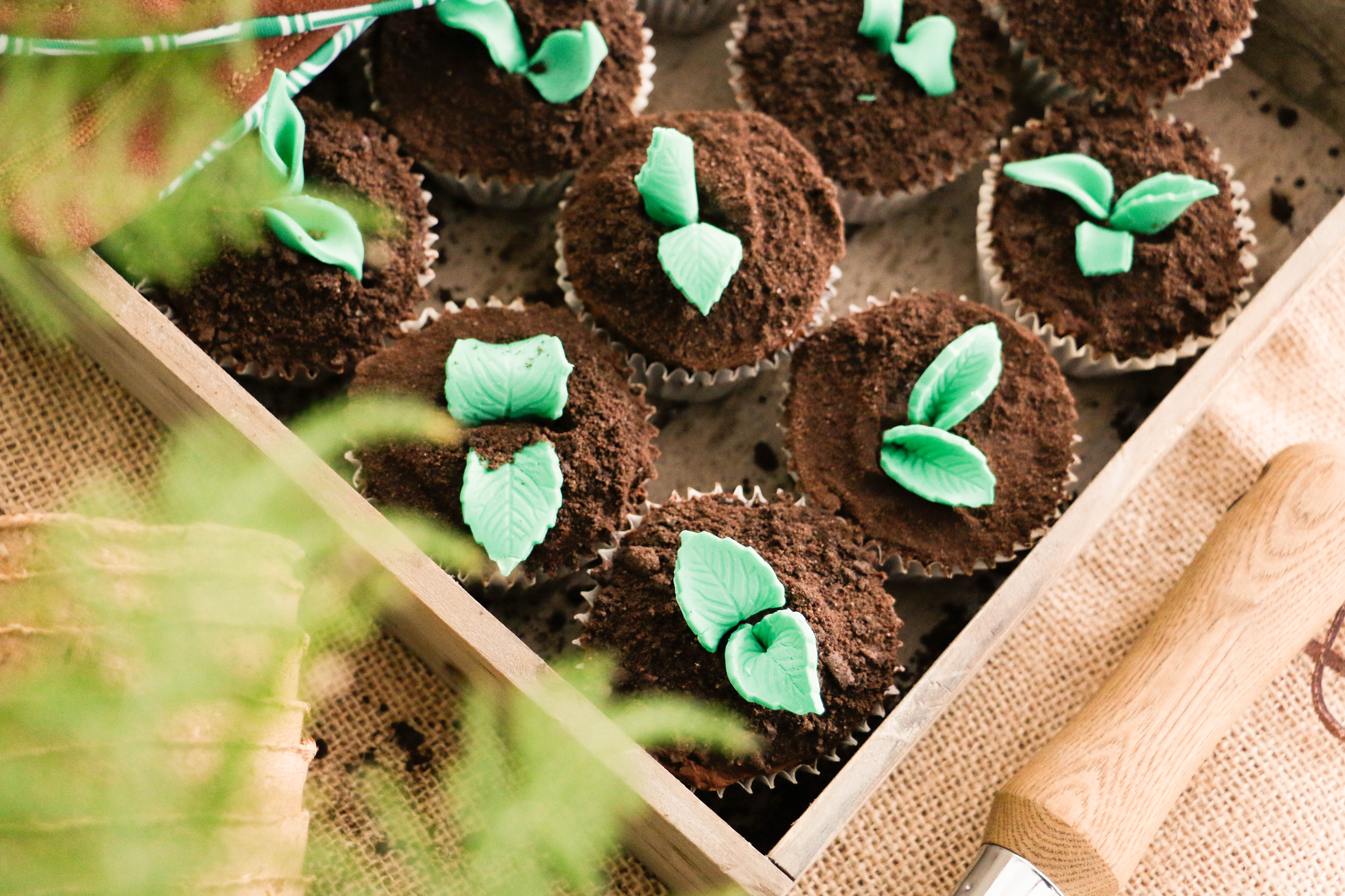 Cupcakes with fondant shoots in Oreo soil