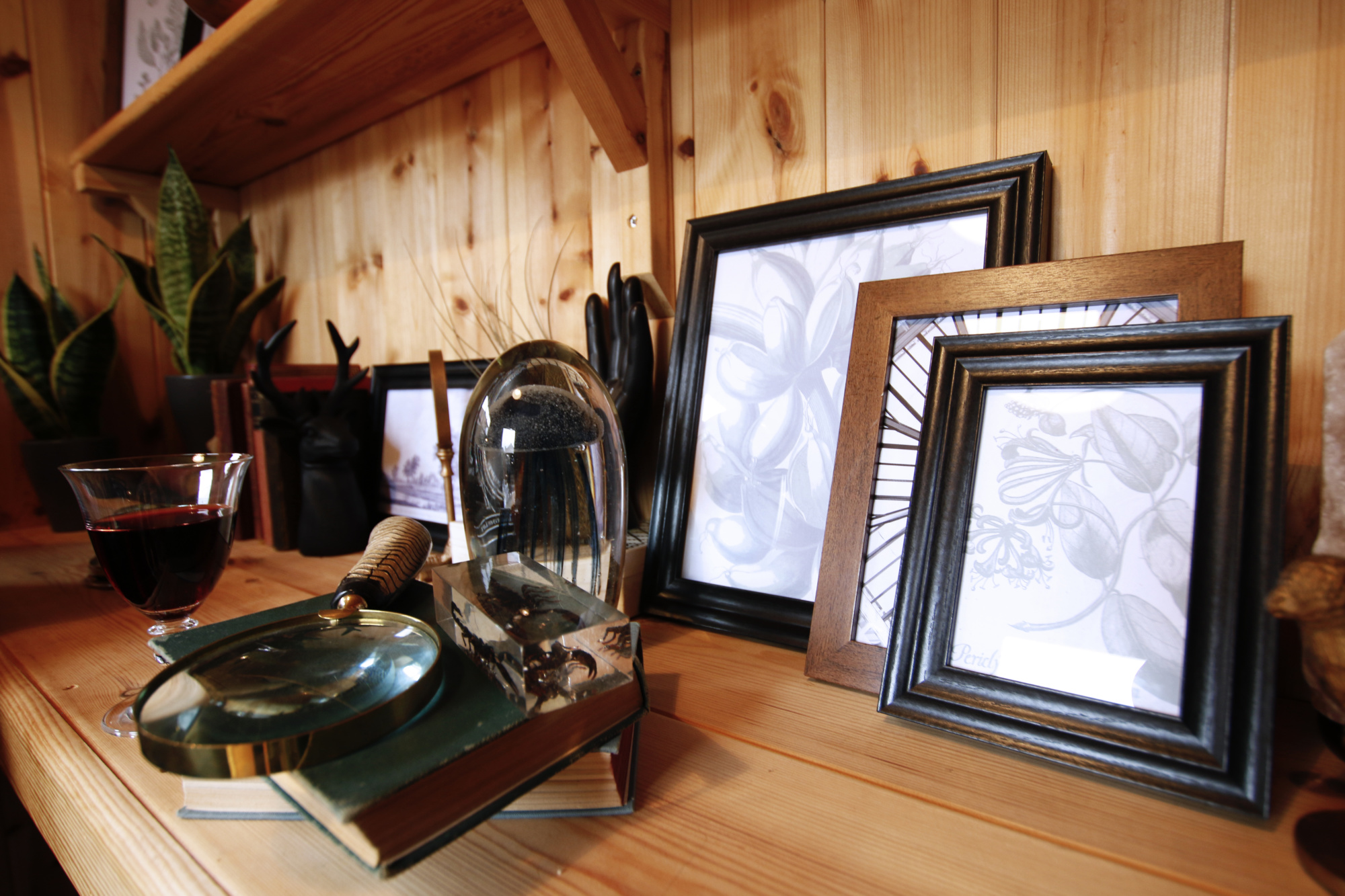 Shelf holding picture frames and a magnifying glass inside the Kew Potting Shed
