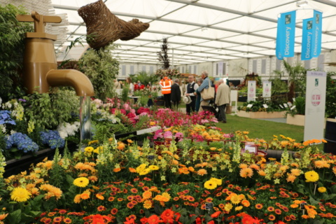 Flower display at Chelsea Flower Show 2019