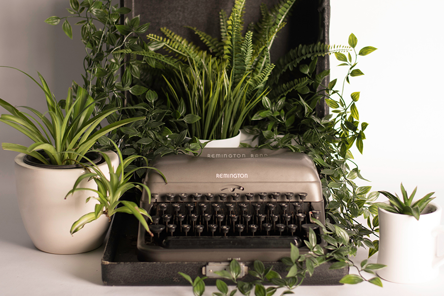 Old unused type writer surrounded by plants