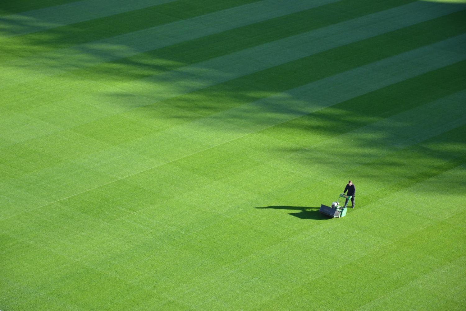 Man mowing a chequer board pattern into a lawn