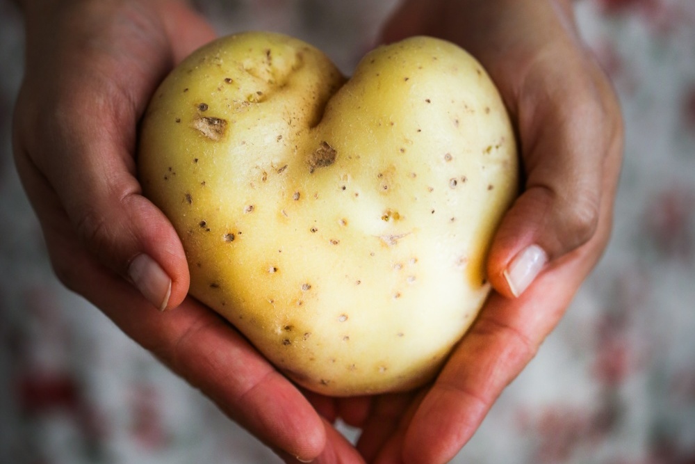Potato in the shape of a heart
