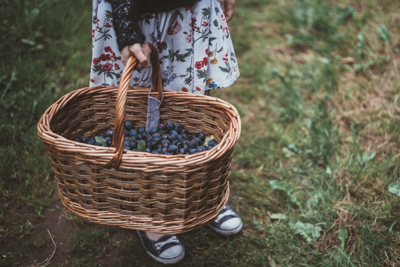 Cottagecore food - foraged berries in a basket