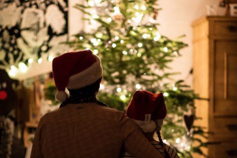 A parent and child sit with their backs to the camera, looking towards a Christmas tree twinkling with fairy lights. They both have Santa hats on and the parent has one arm around the child. 2020 - It's a Wrap by Garden Escape