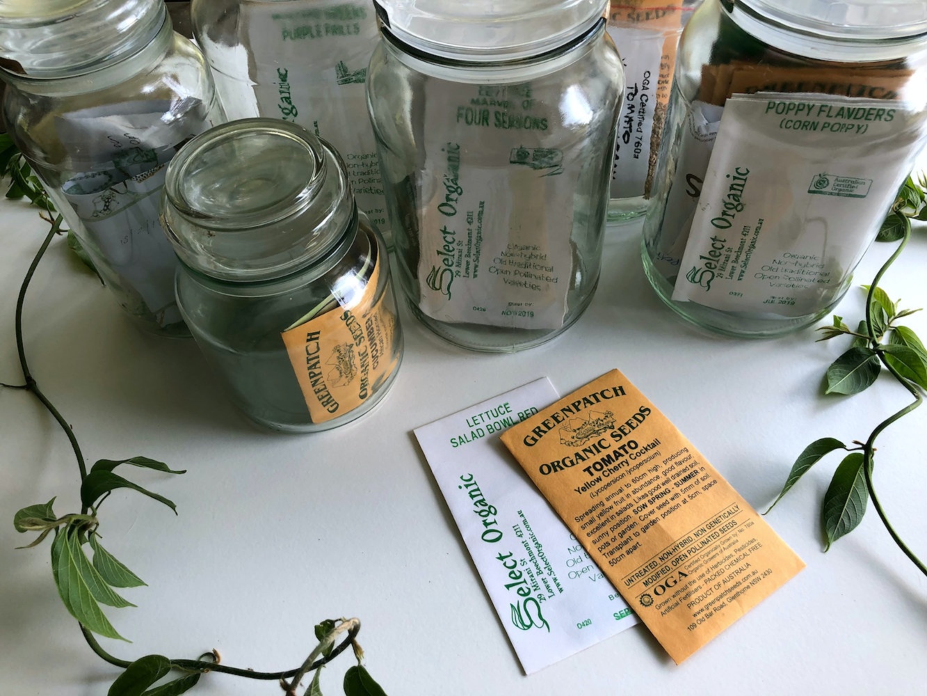 A collection of glass jars filled with vintage-looking paper seed packets. Two packets are out of the jars, one reads 'Greenpatch Organc Seeds Tomato' and the other reads 'Select Organic Lettuce Salad Bowl Red. Be inspired to grow your own in a victory garden at home.
