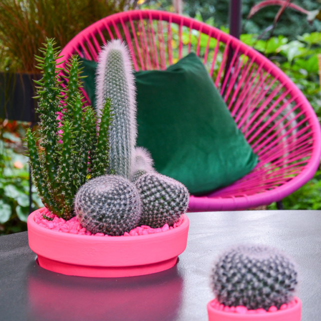 Pink string chair and pots of cacti