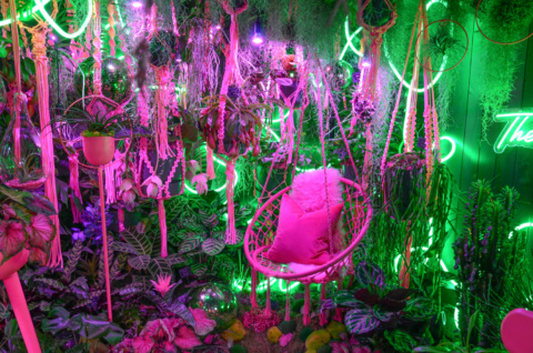 Interior of Garden Room Disco with neon pink hanging chair and lush vegetation