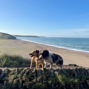 Maxwell and brother Harris on the beach - sponsored by Malvern Garden Buildings
