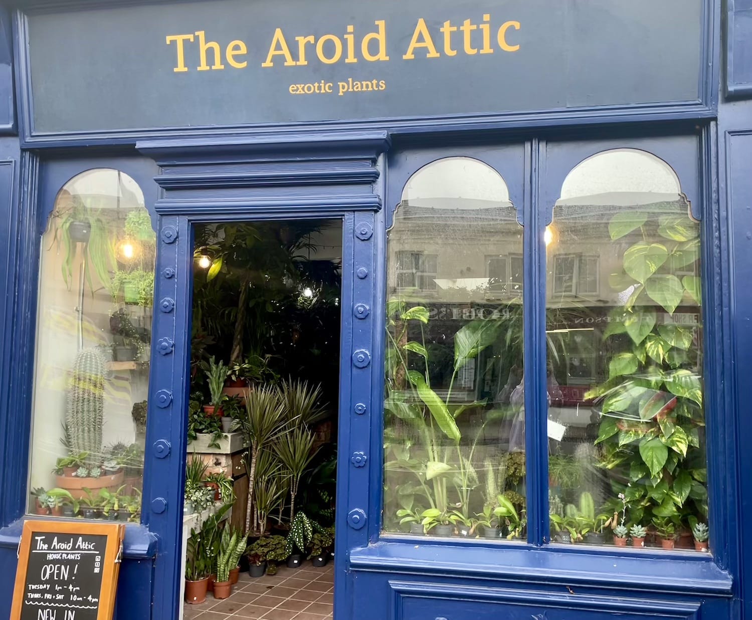 The Aroid Attic storefront