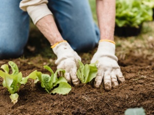 Find Your Inner Gardener This National Gardening Week