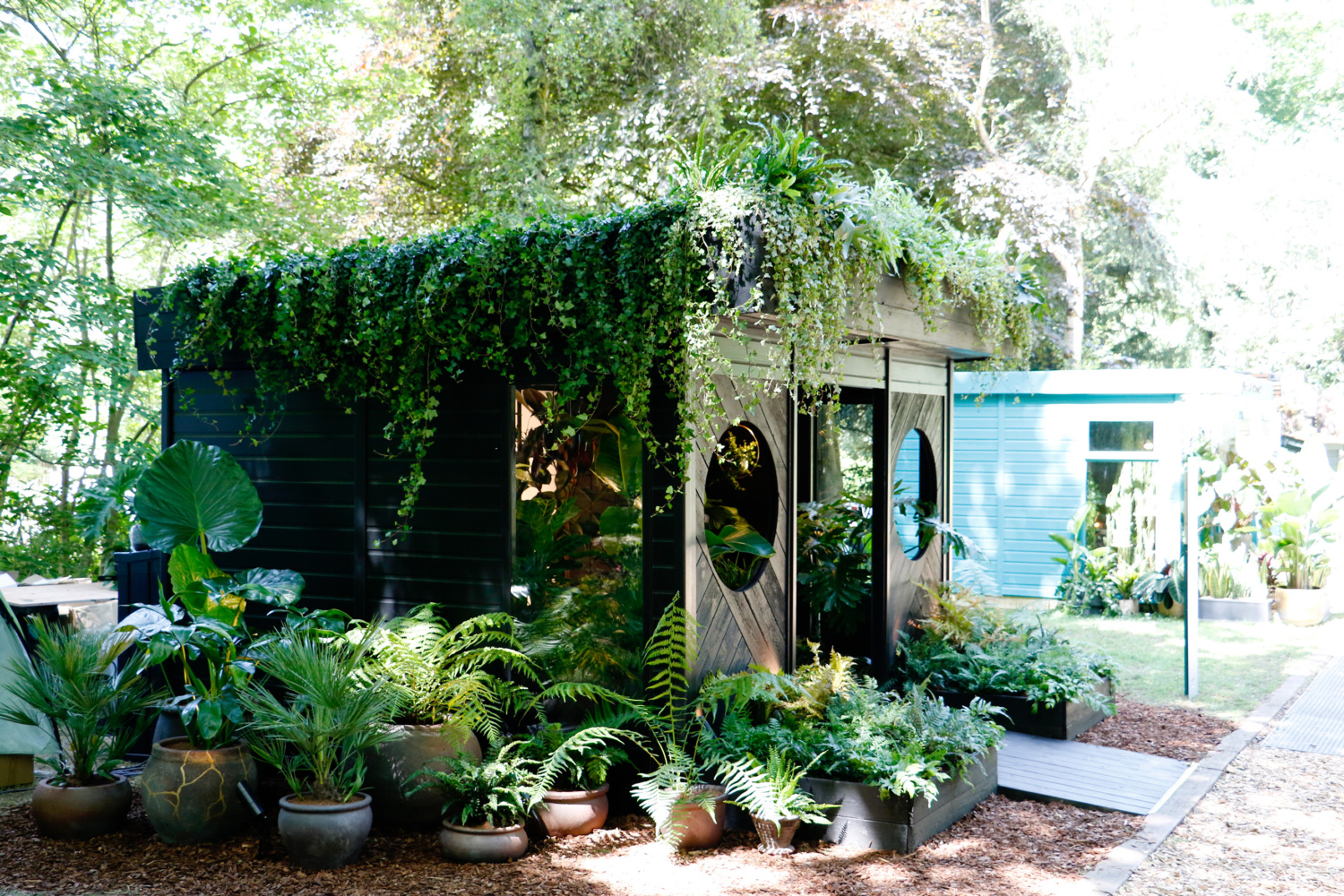 RHS Chelsea 2022 Houseplant Studio supplied by Malvern Garden Buildings: Botanical Rhapsody by The Edible Bus Stop