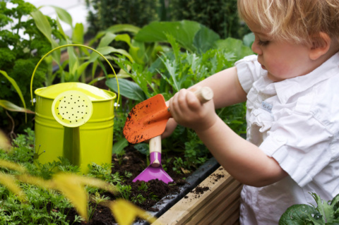 Little toddler watering plants