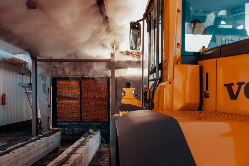 Stack of Thermowood being removed from container by large machinery. Steam can be seen escaping the container.