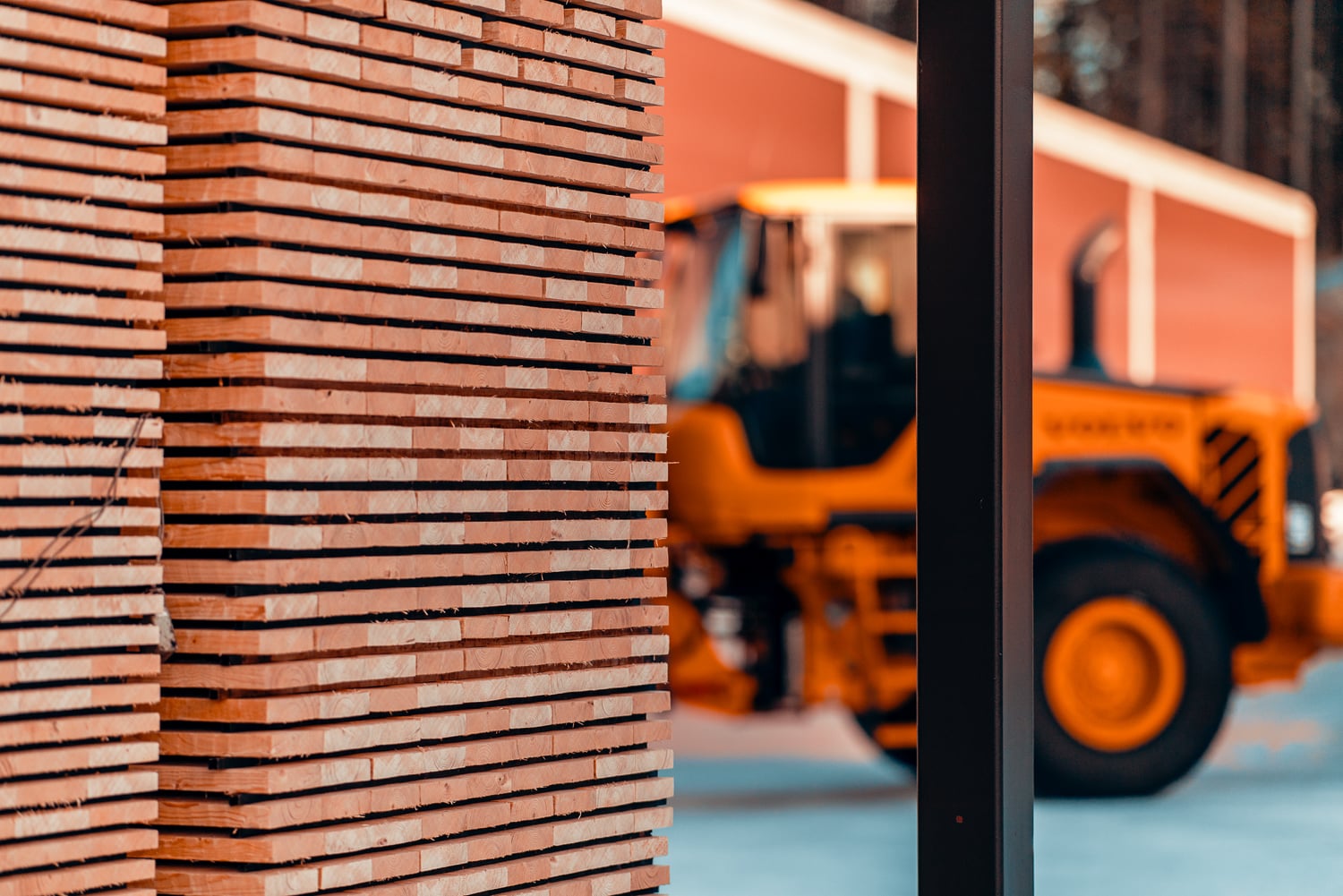 Stack of Thermowood with large Telehandler visible in background