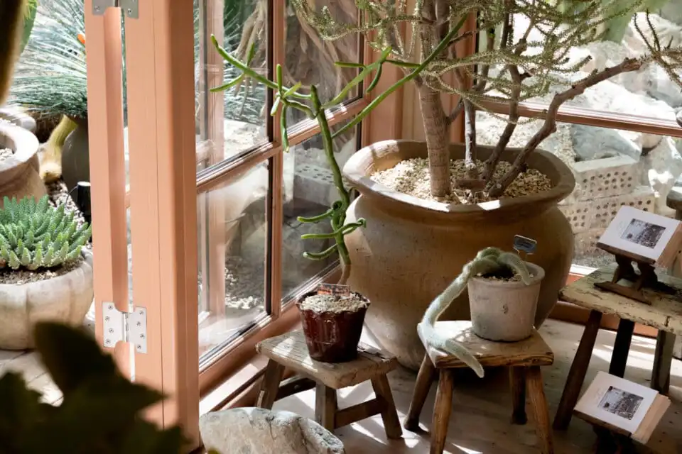 An Ode to Endurance at Chelsea Flower Show 2026 Houseplant Studios sponsored by Malvern Garden Buildings