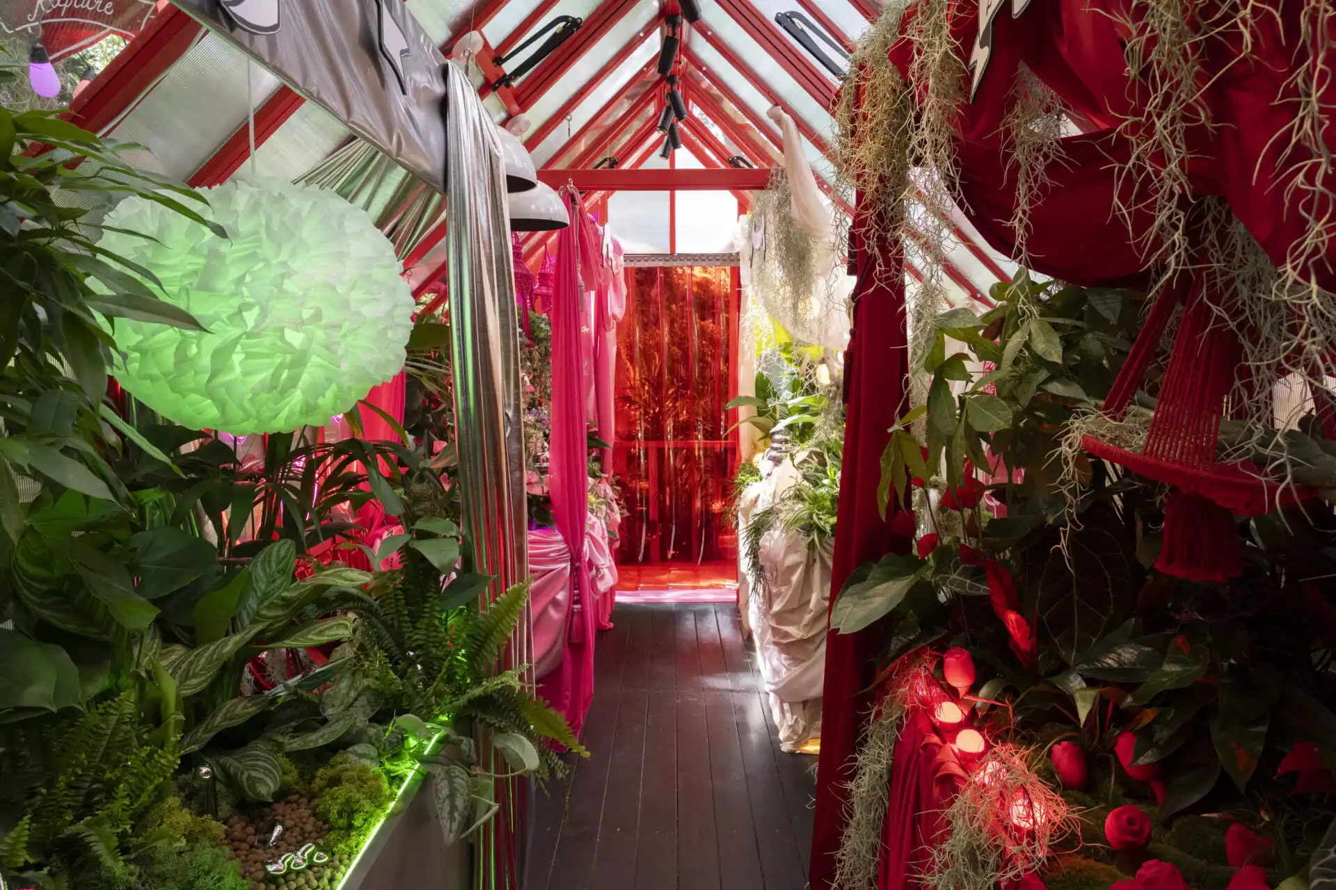 Aphrodite's Hothouse at Chelsea Flower Show 2026 Houseplant Studio sponsored by Malvern Garden Buildings