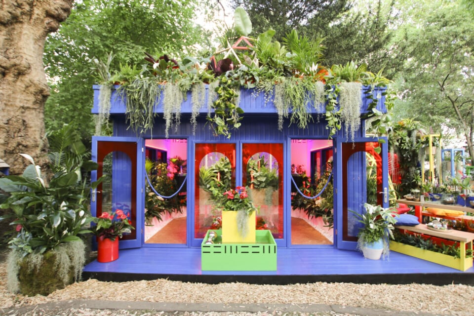 Babylon Beats Houseplant Studio RHS Chelsea Flower Show