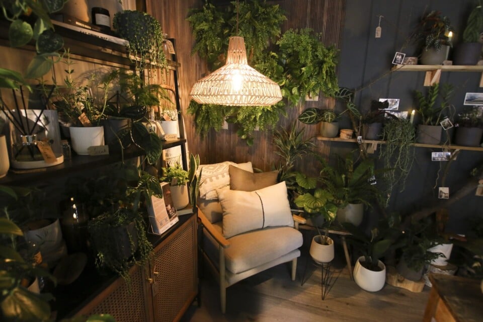 Chair inside The Sensory Retreat Houseplant Studio at RHS Chelsea Flower Show