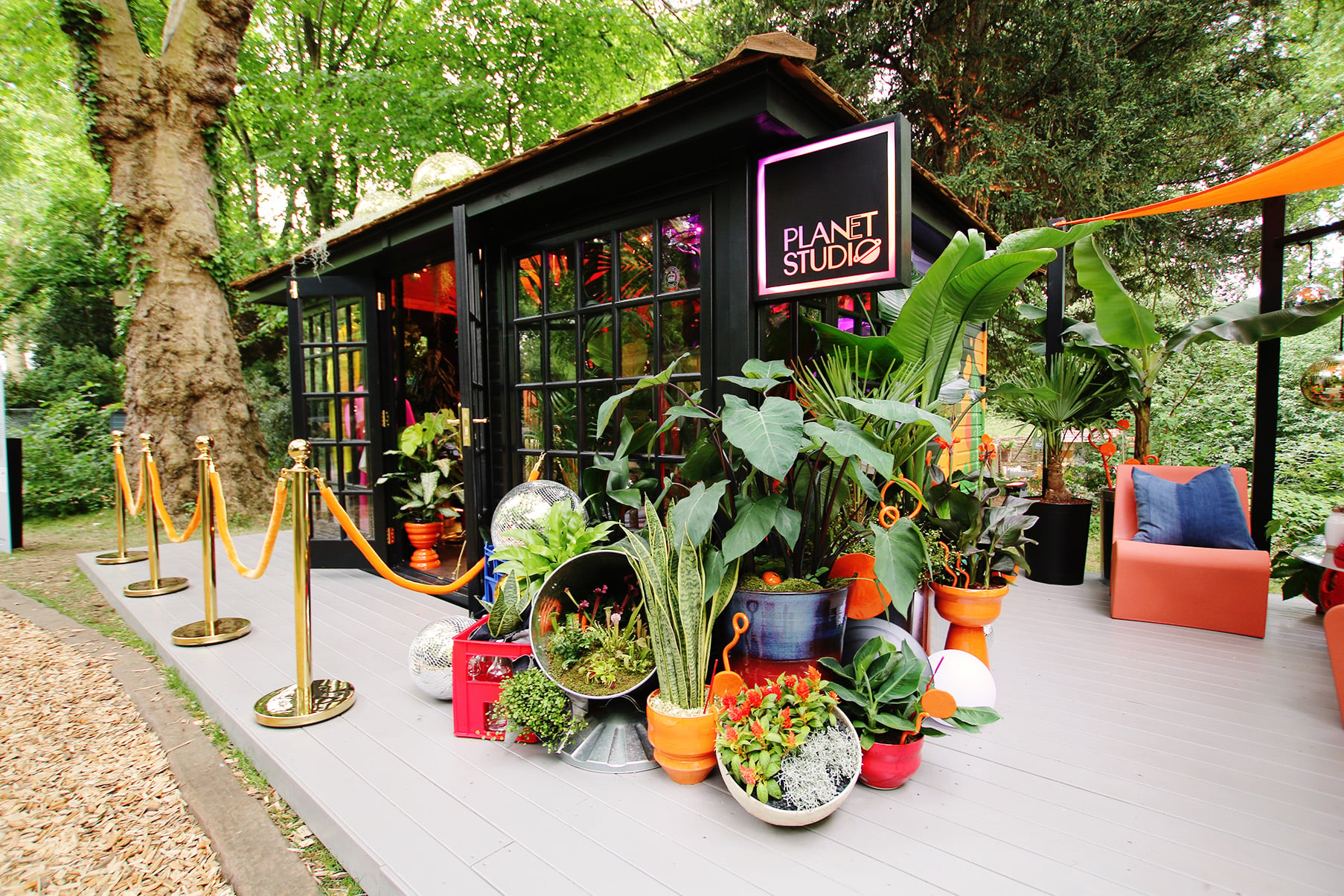 Kew Garden Room styled as Houseplant Studio at Chelsea Flower Show