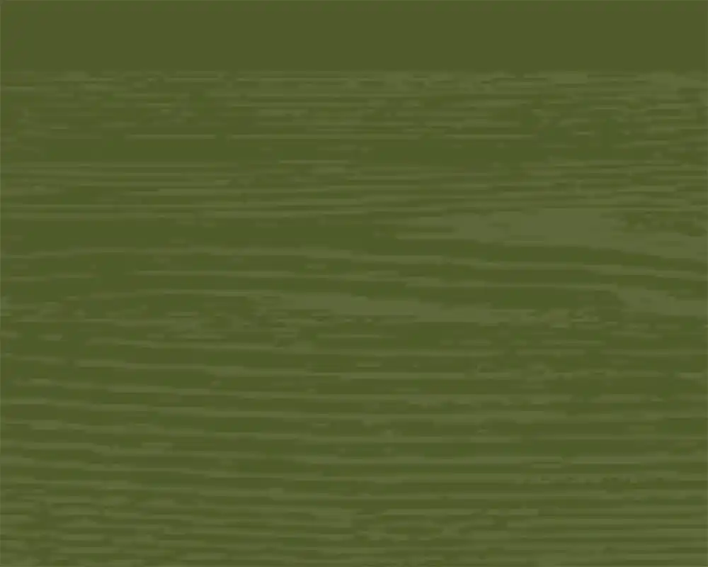 Dark Olive swatch
