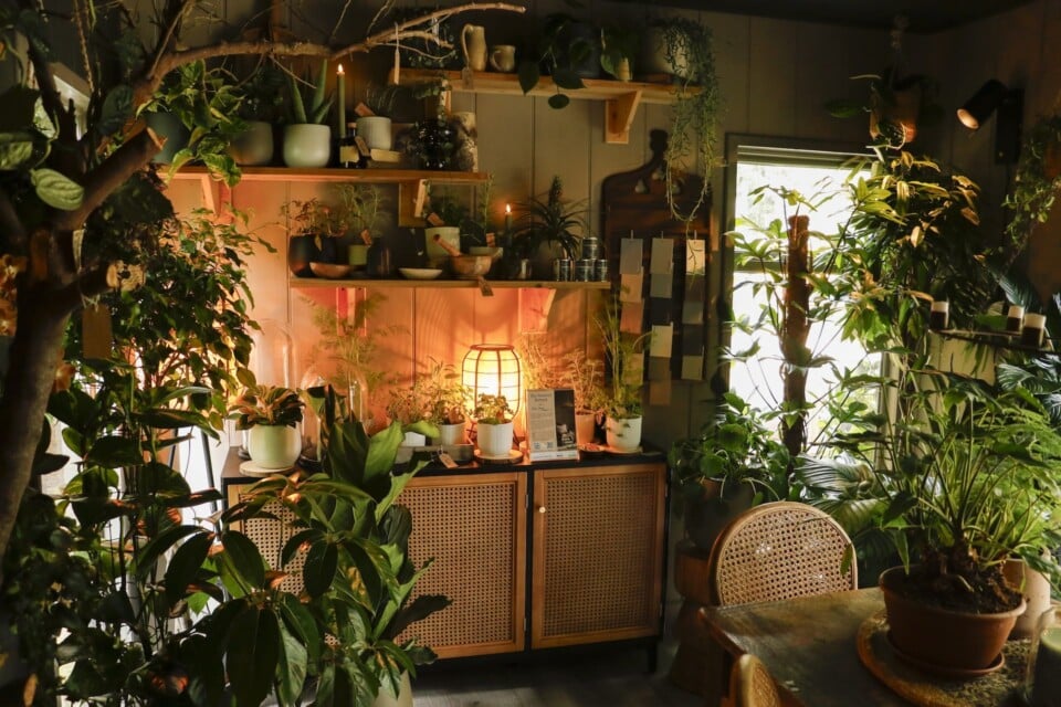Furniture inside The Sensory Retreat Houseplant Studio at RHS Chelsea Flower Show