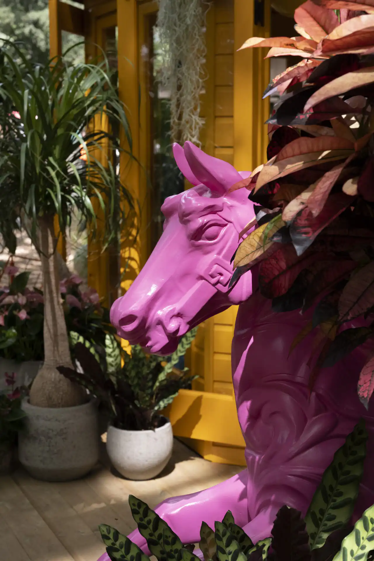 Heliotropic Carousel Chelsea Flower Show Malvern Garden Buildings