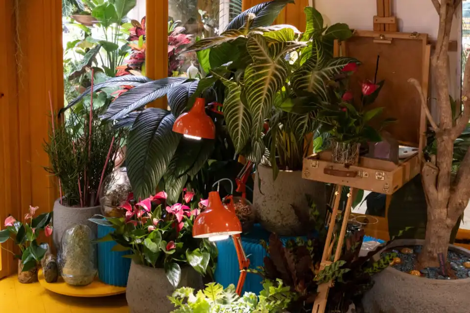 Heliotropic Carousel at Chelsea Flower Show 2026 Houseplant Studios sponsored by Malvern Garden Buildings