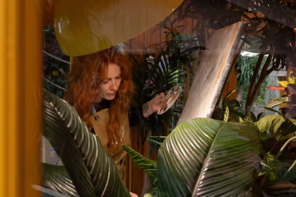 Heliotropic Carousel at Chelsea Flower Show 2026 Houseplant Studios sponsored by Malvern Garden Buildings