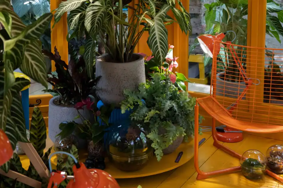 Heliotropic Carousel at Chelsea Flower Show 2026 Houseplant Studios sponsored by Malvern Garden Buildings