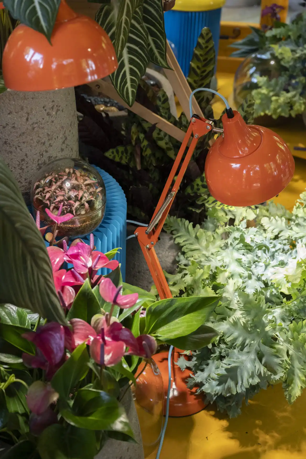 Heliotropic Carousel Chelsea Flower Show Malvern Garden Buildings