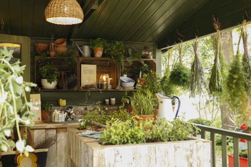 Interior of The Roots of Wellbeing Houseplant Studio at RHS Chelsea Flower Show