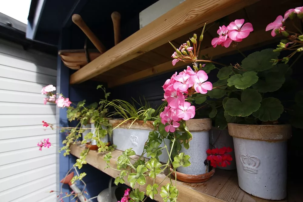Kew Potting Shed Ideas to Make the Most of Your Small Garden