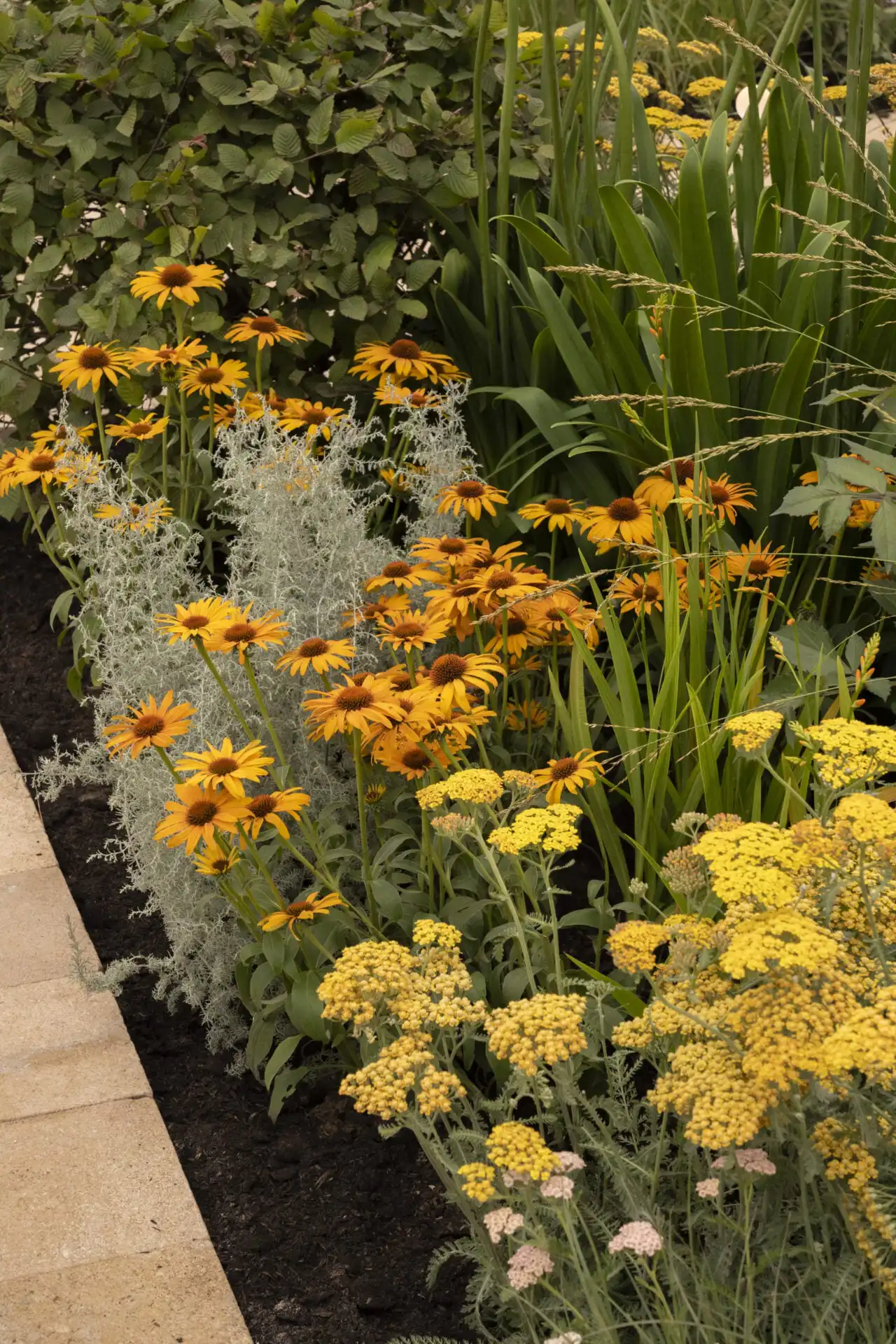 Planting in The Thomas Gainsborough Garden at RHS Sandringham