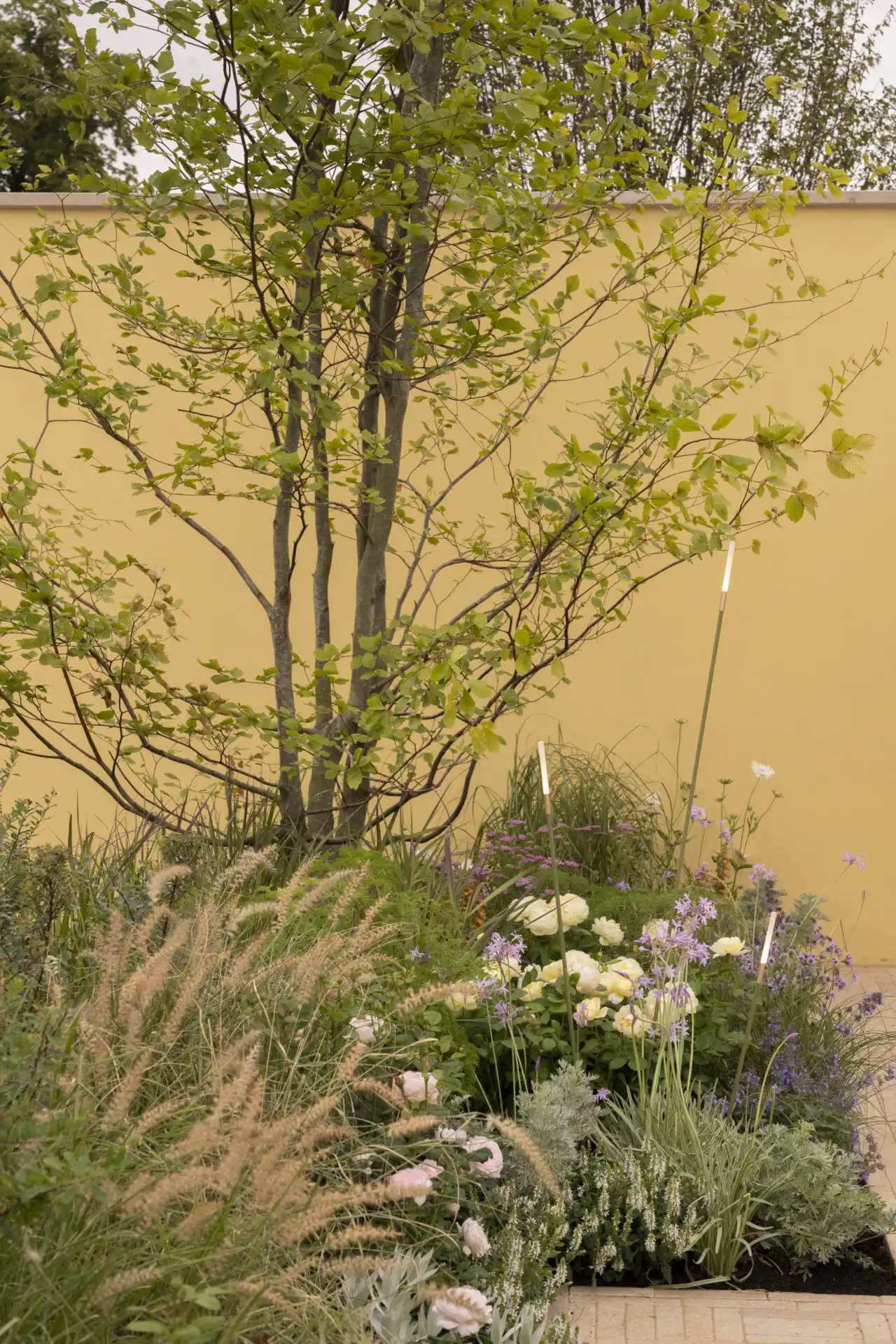 Planting in The Thomas Gainsborough Garden at RHS Sandringham