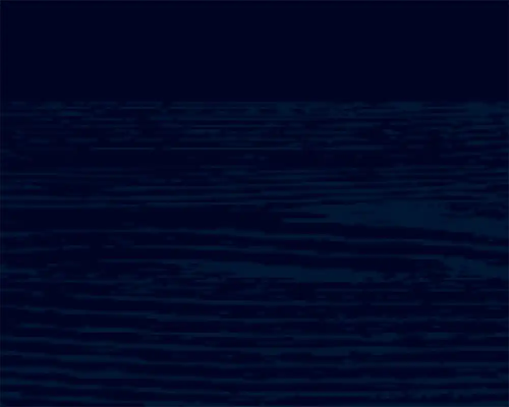 Squid Ink swatch