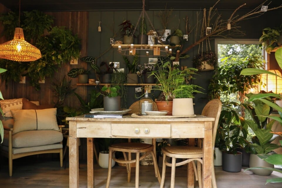 Table seating area inside The Sensory Retreat Houseplant Studio at RHS Chelsea Flower Show