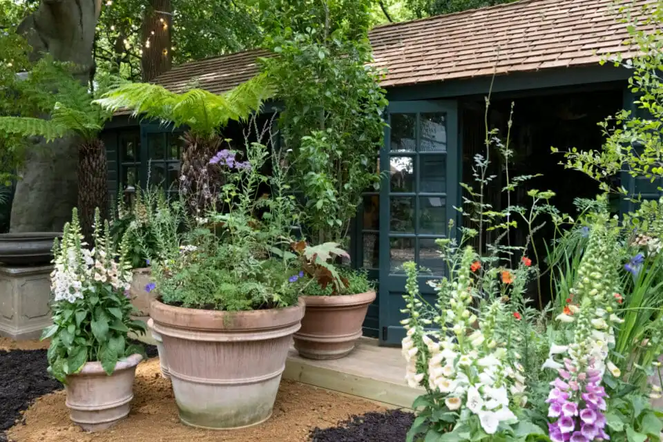 The Conservatory at Chelsea Flower Show 2026 Houseplant Studios sponsored by Malvern Garden Buildings