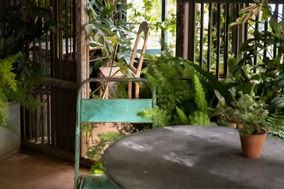 The Conservatory at Chelsea Flower Show 2026 Houseplant Studios sponsored by Malvern Garden Buildings