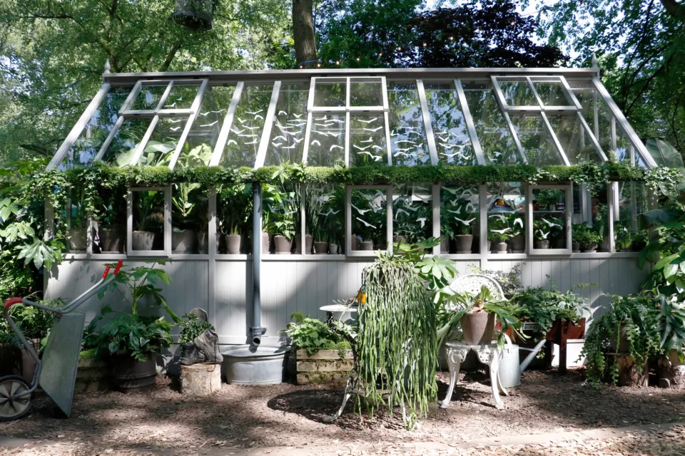 The Glasshouse Greenhouse, displayed at RHS Chelsea Flower Show 2024