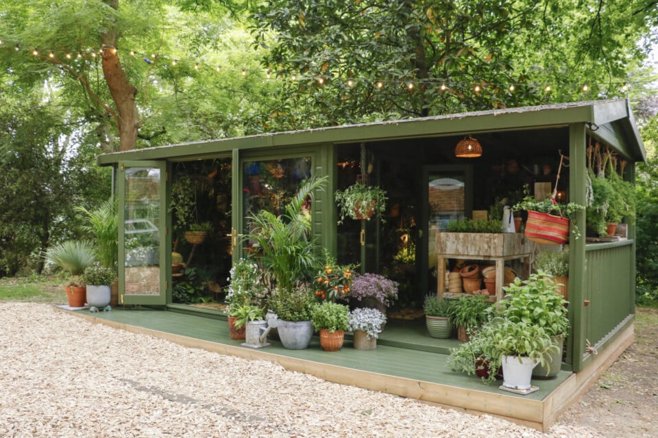 The Roots of Wellbeing Houseplant Studio RHS Chelsea Flower Show