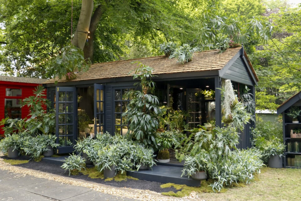 The TerrariROOM Houseplant Studio RHS Chelsea Flower Show