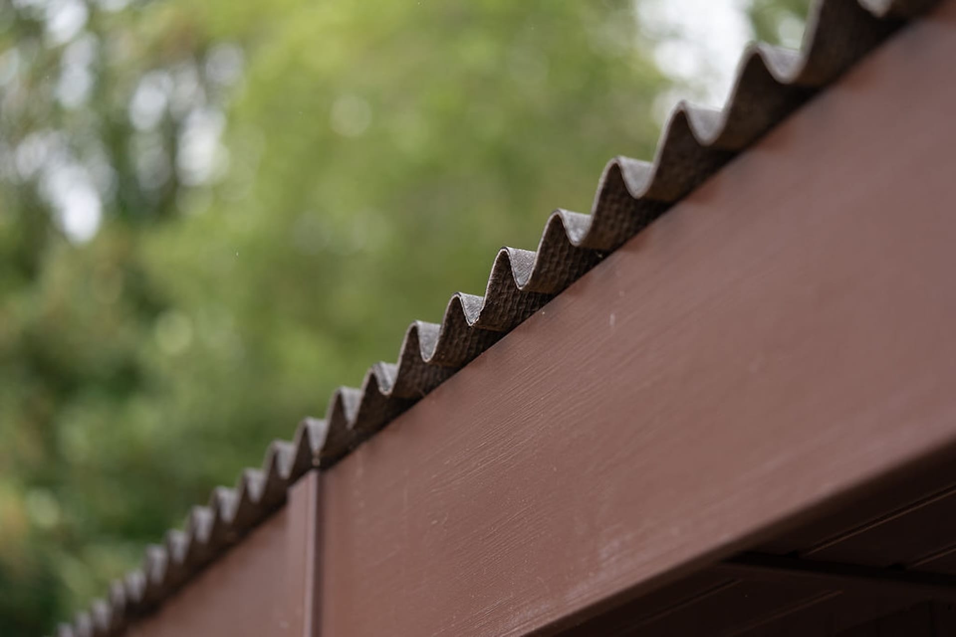 close up view of roof of malvern garden buildings shed located at the back of haratios garden
