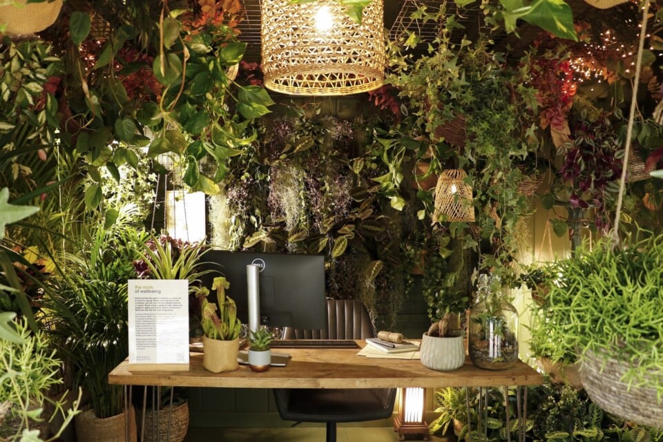 desk area inside The Roots of Wellbeing Houseplant Studio at RHS Chelsea Flower Show