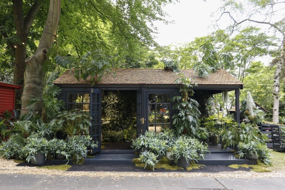 front view of The TerrariROOM Houseplant Studio Chelsea Flower Show