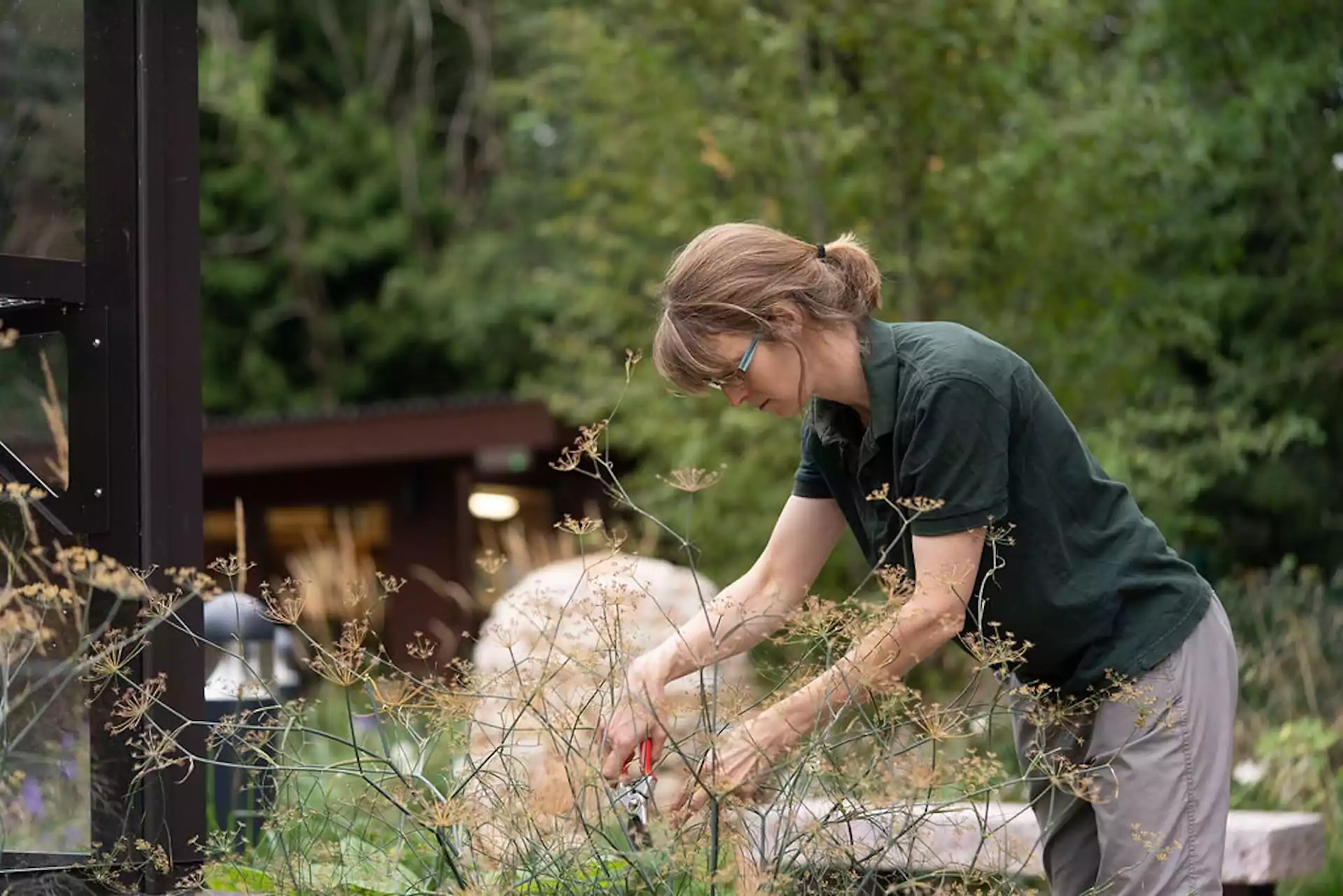 head gardener ruth calder tending to plants in horatios garden daeeba
