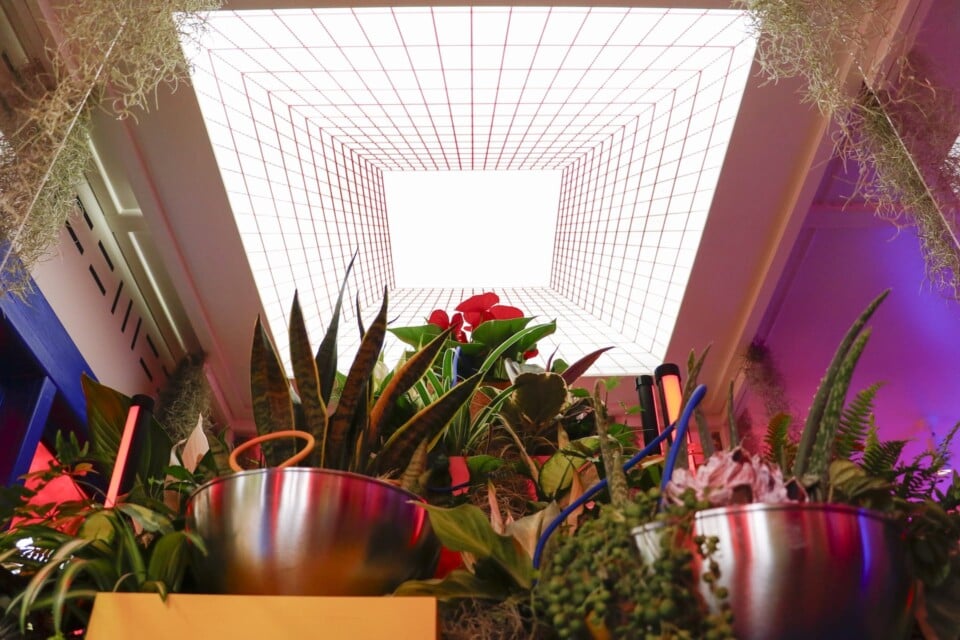 inside ceiling view of babylon beats at chelsea flower show