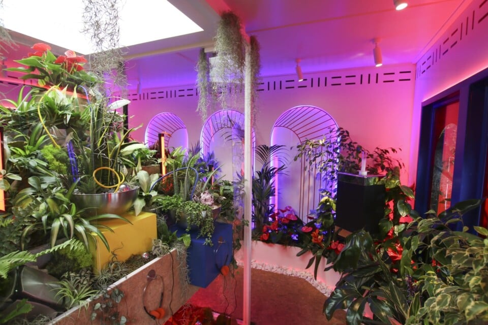 inside view of babylon beats at chelsea flower show