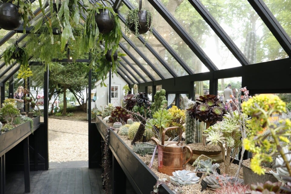 interior of The Victorian Arid House at chelsea flower show